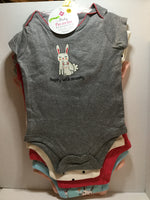 Baby favorite Bodysuits 5 Pack Girls/ 3-6 months
