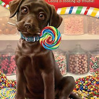 The Chocolate Lab by Eric Luper by Eric Luper | PB |
